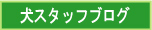 犬スタッフブログ