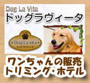 ドッグラヴィータ