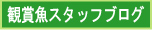 小動物スタッフブログ