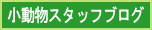 小動物スタッフブログ